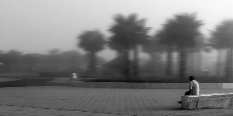 Exposition Doris Chinyami : palmiers d’Essaouira dans la brume, noir et blanc