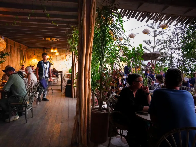 Salle de La Coupole à Essaouira, décor en bois et plantes tropicales