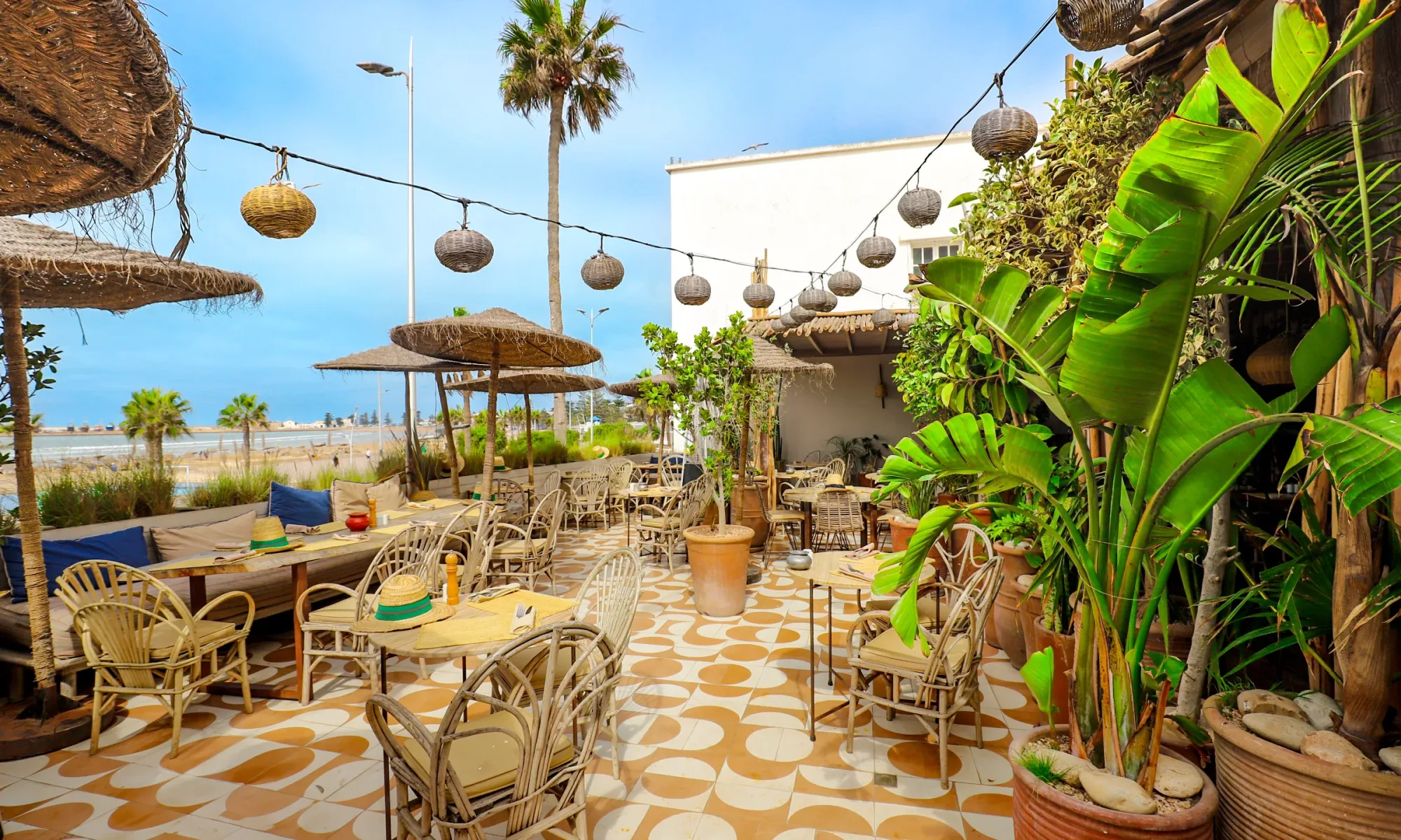 Terrasse de La Coupole avec palmiers et vue sur l’océan à Essaouira