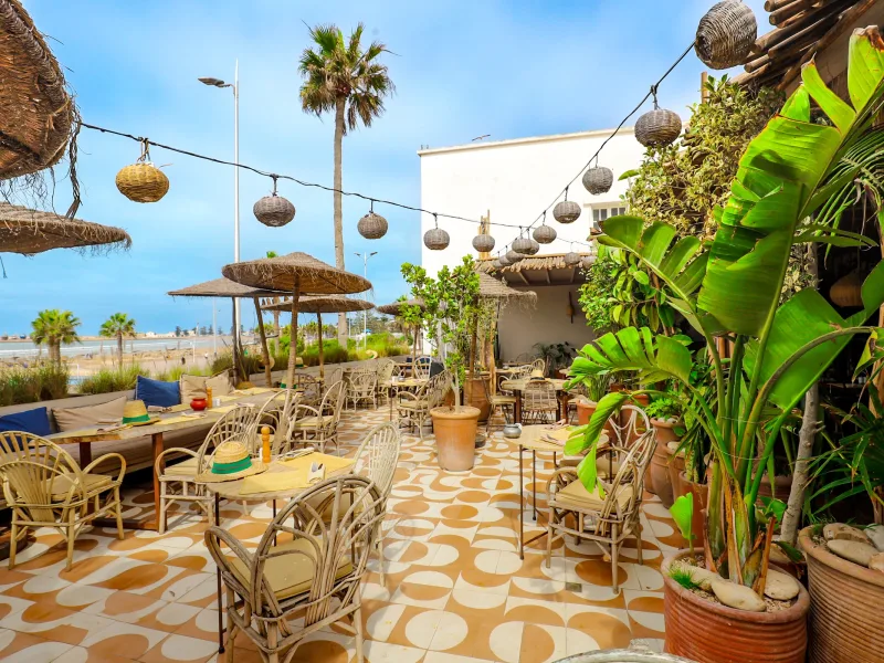 Terrasse de La Coupole avec palmiers et vue sur l’océan à Essaouira
